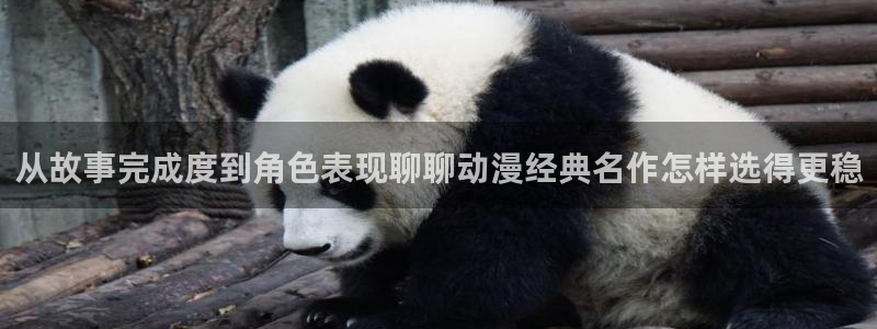 动画大全