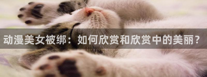 动漫在线入口