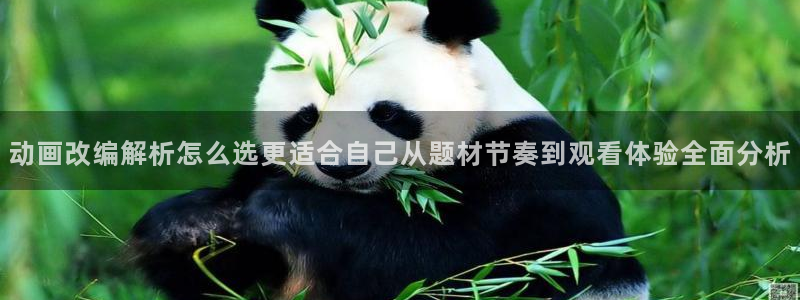 机战动漫