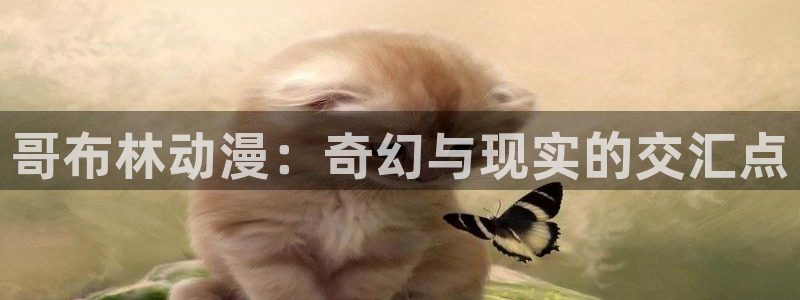 最新动漫排行