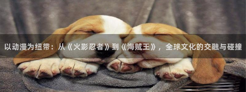 动漫排行榜大全