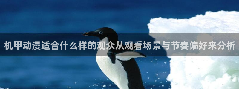 动漫更新资讯