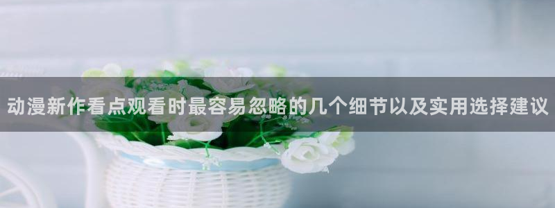 新番动漫排行榜