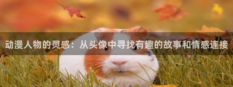 搜索动漫