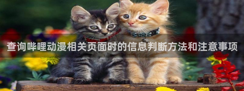 动漫大全网