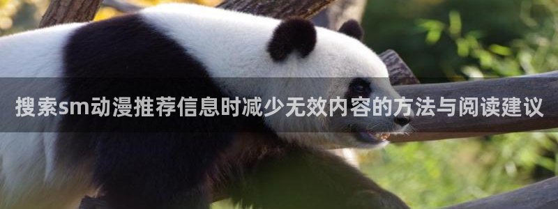 经典动画推荐