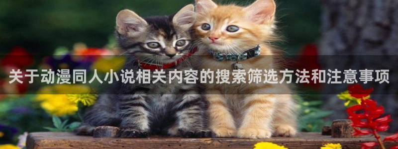 日本动漫网站