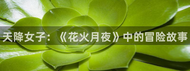 动漫作品搜索