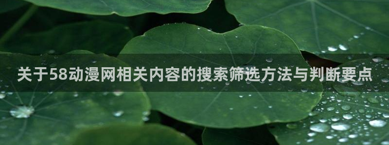 新番动漫大全