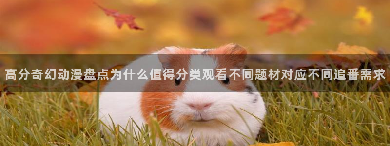 恋爱动漫推荐:高分奇幻动漫盘点为什么值得分类观看不同题材对应不同追番需求