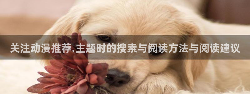 机战动漫